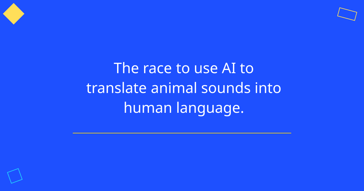 The race to use AI to translate animal sounds into human language.